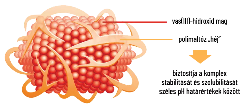 vasmolekula